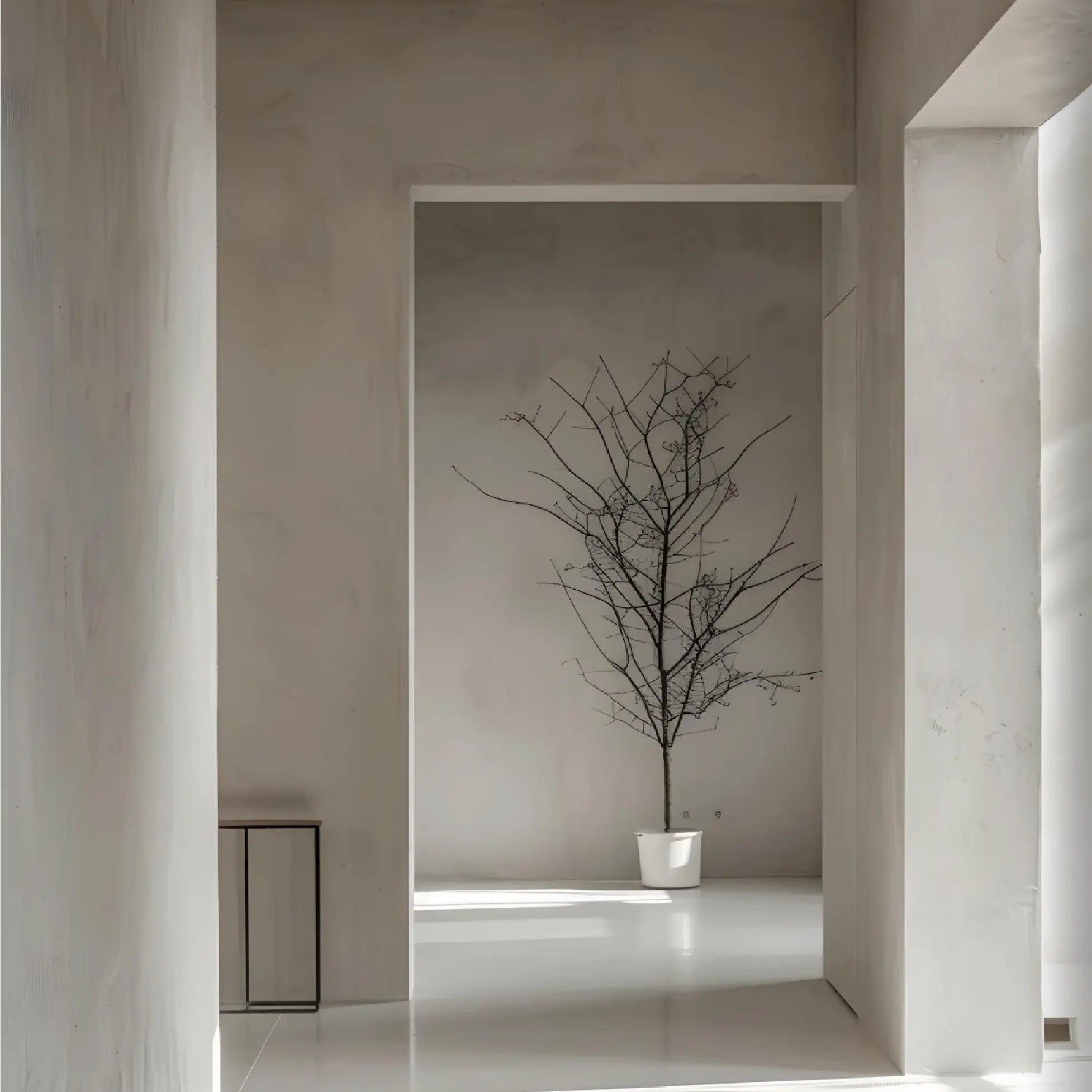 Nikkolor Lime Wash Paint - Stucco Veneziano UK