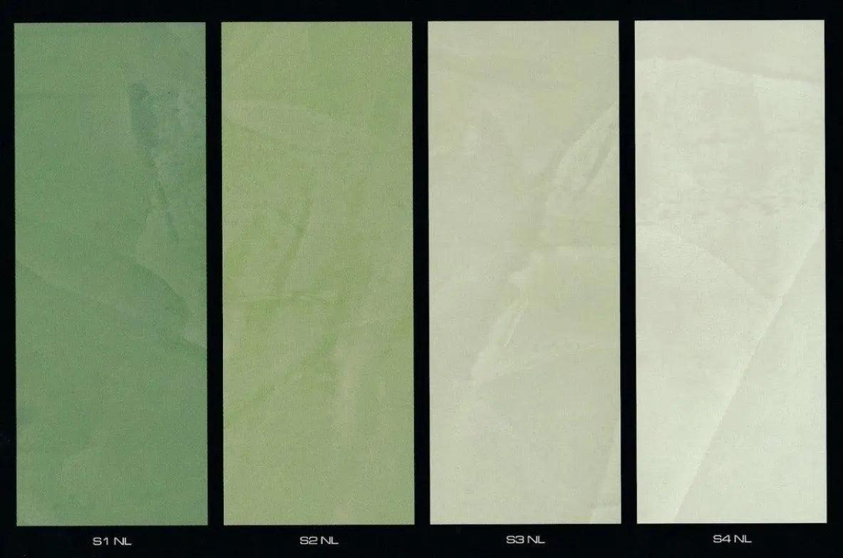 Colour NL New York Leaves - Stucco Veneziano UK