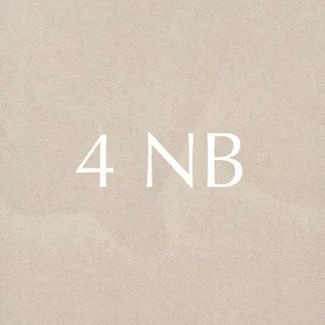 Colour NB New York Brown - Stucco Veneziano UK
