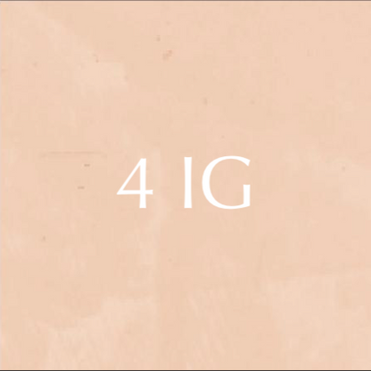 Colour 4 IG Cinnamon - Stucco Veneziano 