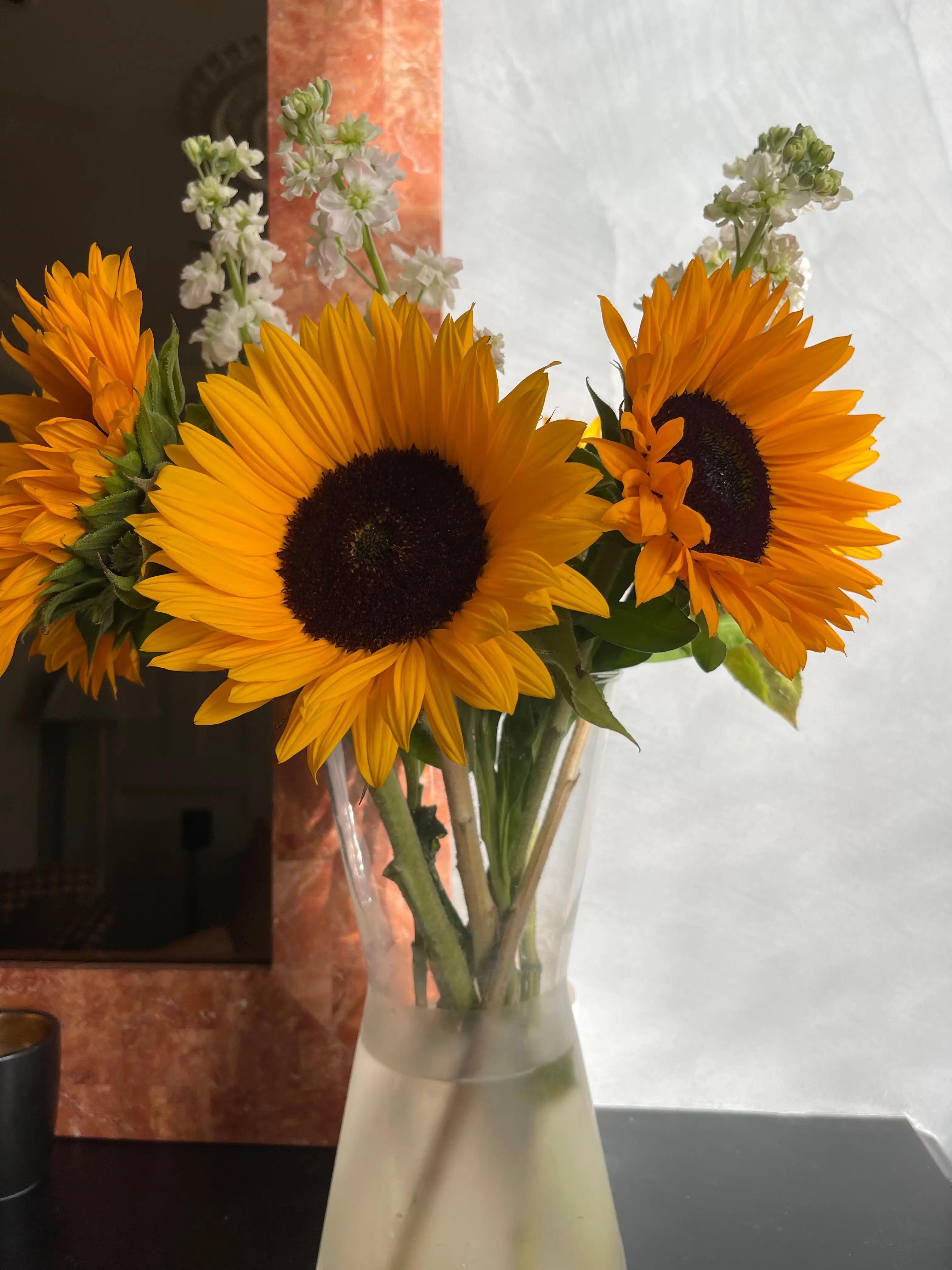 Sunflowers Spirito Libero Giorgio Graesan