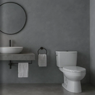 Nikkolor Hiridium - Stucco Veneziano UK