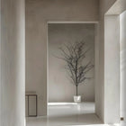 Nikkolor Lime Wash Paint - Stucco Veneziano UK