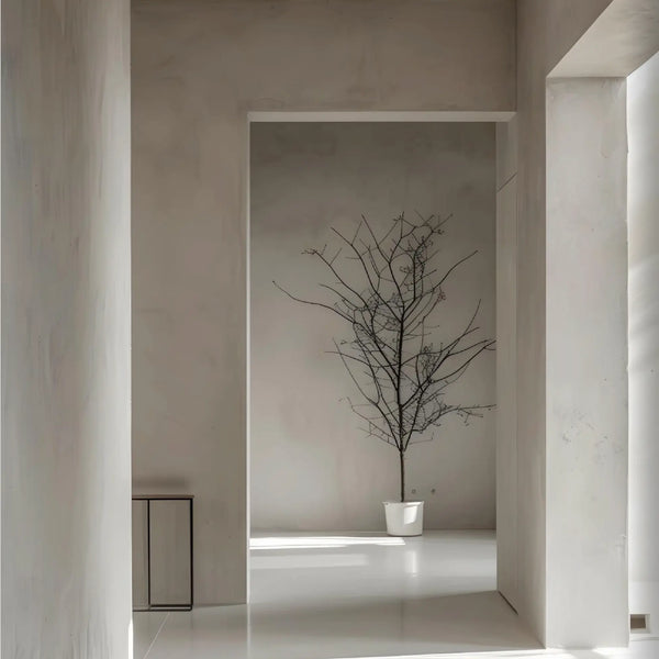 Nikkolor Lime Wash Paint - Stucco Veneziano UK