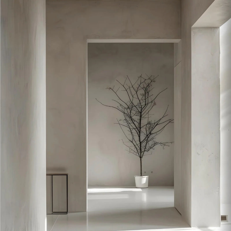 Nikkolor Lime Wash Paint - Stucco Veneziano UK