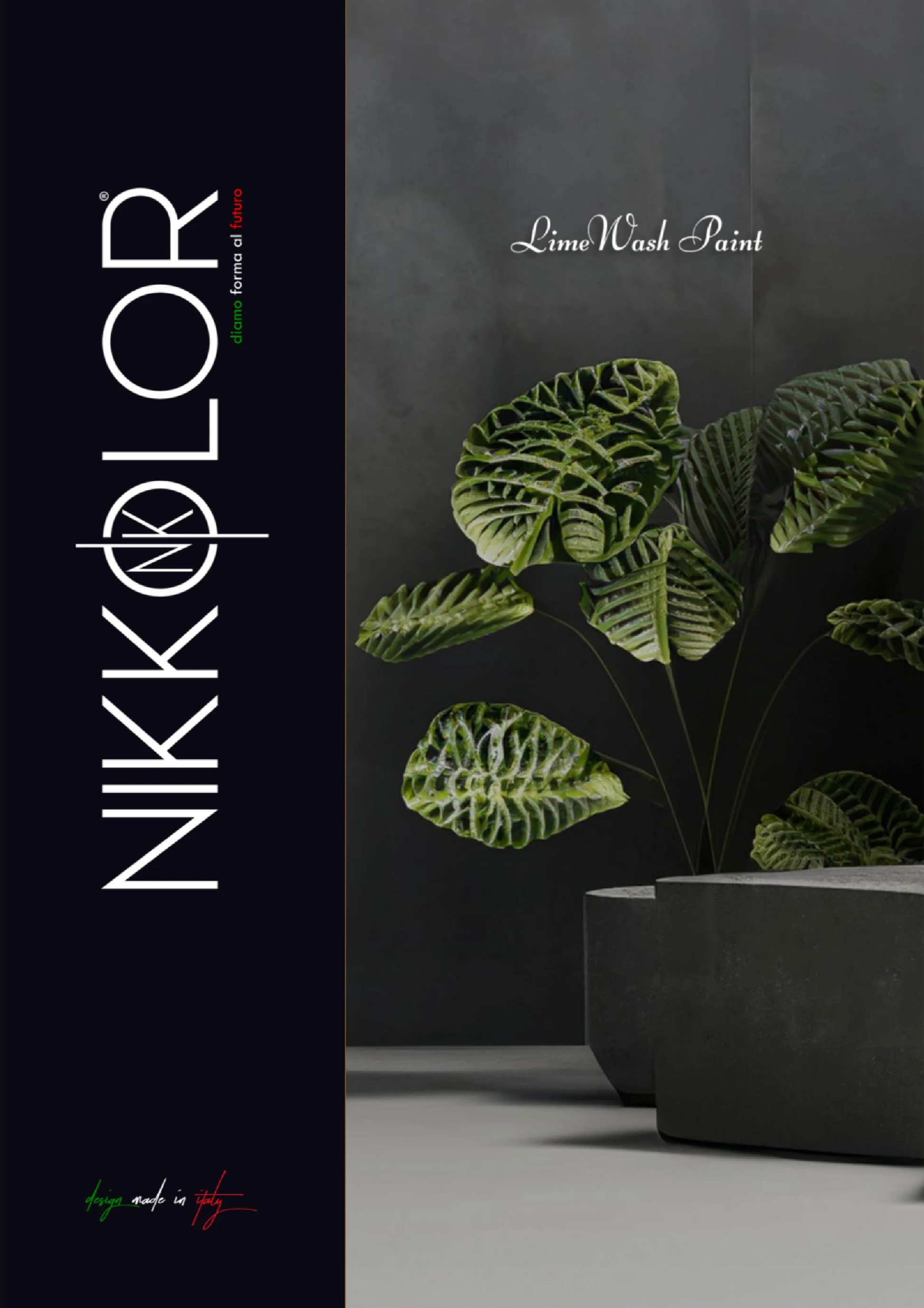 Nikkolor Lime Wash Paint Brochure