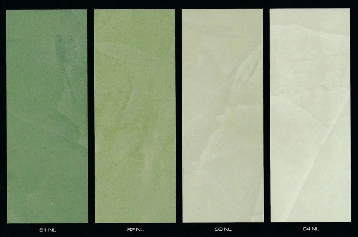 Colour NL New York Leaves - Stucco Veneziano UK