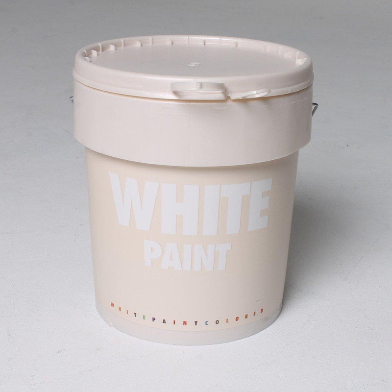 White Paint - Lustre - 2040 - Stucco Veneziano UK